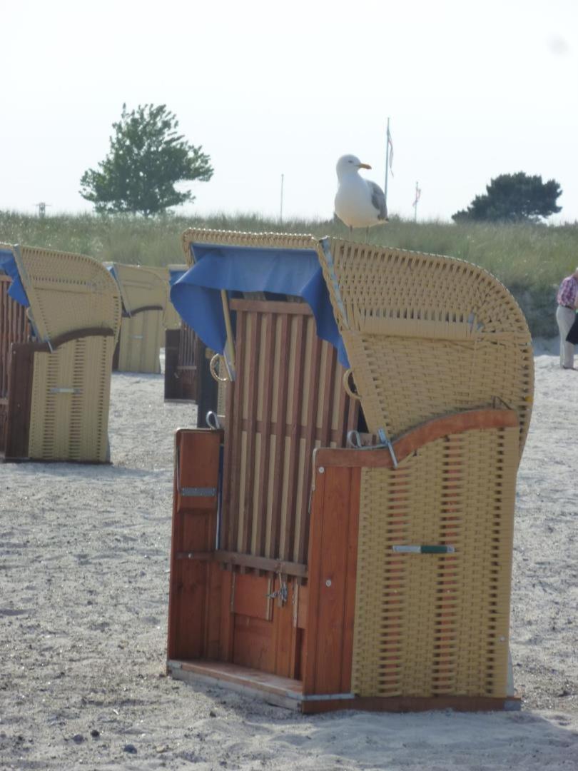Traumhafter Ostsee-Ausblick, Fewo Direkt Am Strand Femern Eksteriør billede